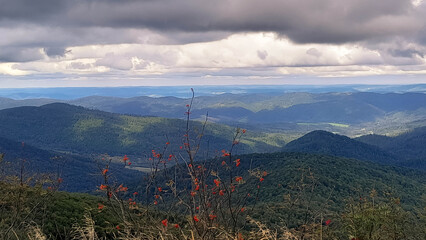 Dark clouds over top of Bieszczady Mountains. Storm is coming. © Jan