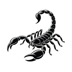 Detailed black scorpion illustration with raised tail and claws on white background