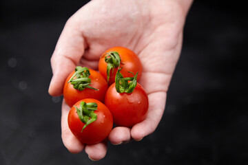 Hand holding fresh, ripe cherry tomatoes with vibrant red color and green stems, showcasing natural...