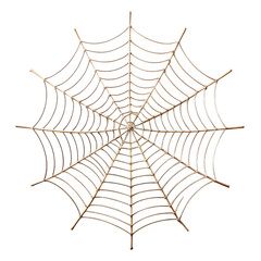 Obraz premium Intricate Spider web on transparent 