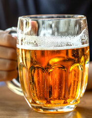 Woman hand holding glass beer. Closeup of a man holding glass of beer. Hand of a male with full glass of beer at the pub