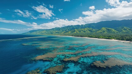 Fototapeta premium aerial view of hawaiian coastline with vibrant coral reef