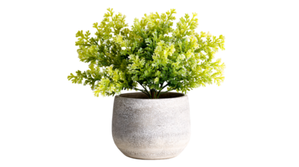 Faux potted plant in gray pot isolated

