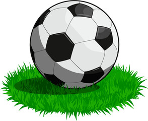 Fototapeta premium Football ball on green grass field.
