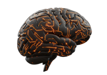 Isolated Digital Brain with Glowing Circuit Connections