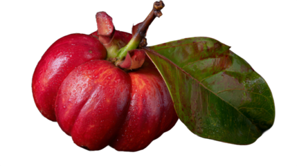 Vibrant red fruit with leaf on black background