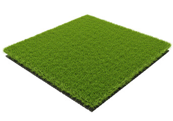 Isolated Square of Artificial Turf with Black Edges