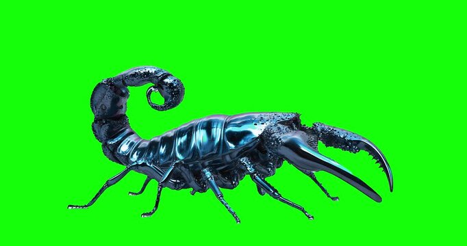 scorpion on green background