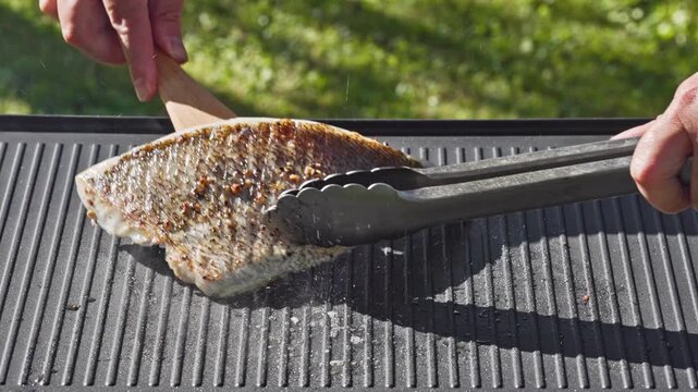 outdoor cooking. cook preparing fresh sea bream fish fillet with spices on hot grill pan for making delicious meal in garden, food closeup, outdoors natural light