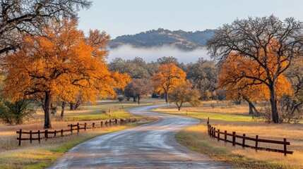 Obraz premium Winding road through autumnal landscape