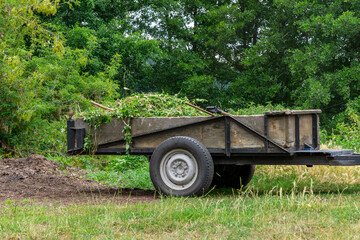 Old farm trailer loaded with green branches, standing on grass among trees