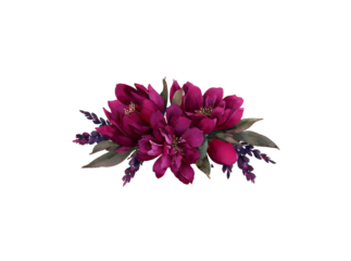 Dark pink magnolia flowers with lavender watercolor bouquet. Isolated On Transparent Background