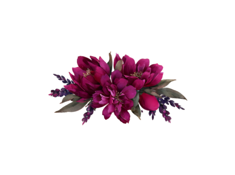 Dark pink magnolia flowers with lavender watercolor bouquet. Isolated On Transparent Background