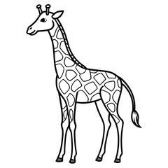 giraffe vector illustration