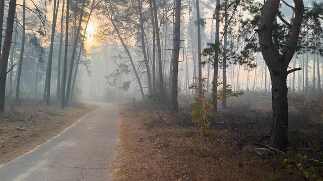 After the retreat of Russian occupiers from the Kharkiv region, there were areas with a mine hazard. White tapes were left by sappers, marking mines