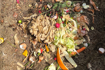 Compost heap in bin pile with bio waste in garden. Farmer put weeds grass plants, vegetable fruit scraps in compost. Zero waste, composting concept.