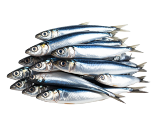 Close-Up Side View of Fresh Sardines Piled Together, Detailed Silver Scales, White Background