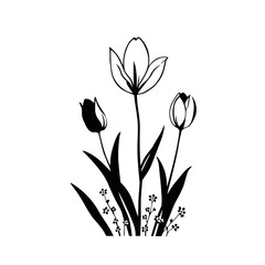 Elegant pink and purple tulip blossoms with green leaves, illustrated as a vector on a black background, embody the beauty of spring nature