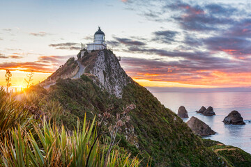 Nuggett Point, Otago, New Zealand, at sunrise.