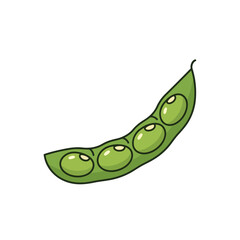 Flat color icon of open edamame pod for Asian food guides and healthy meal visuals isolated on transparent background