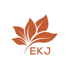 EKJ Elegant Minimal Leaf Logo Design, EKJ Later Logo, Botanical Nature Logo with Text, Clean Botanical Logo Design, Natural Organic Leaf Badge
