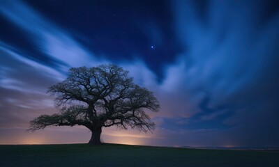 Obraz premium Solitary tree at night under a dramatic sky