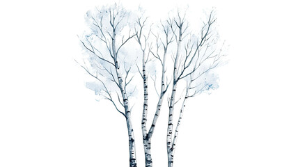 Fototapeta premium Birch tree illustration in soft watercolor style on white background