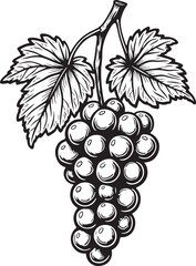 Fototapeta premium Silhouette of a person reading a book isolated on transparent background