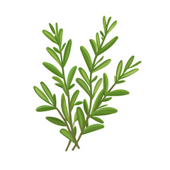 My Simple flat 2D icon of a rosemary branch isolated on a white background, vector design, ideal for animation, vector, web design, digital illustrations, and minimalism. EPS format, vector	
