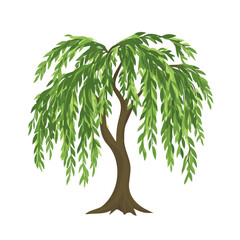 My Simple flat 2D icon of green white willow isolated on a white background, vector design, ideal for animation, vector, web design, digital illustrations, and minimalism. EPS format, vector  © Sabellatint