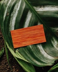 Red-toned wood rectangle on tropical leaf