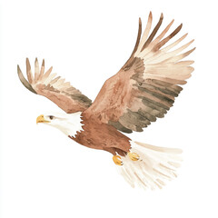 Obraz premium a cute animal of Eagle flying