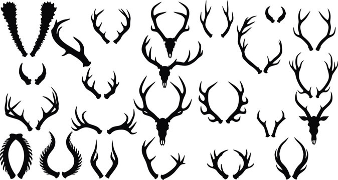 Illustration Vector of Deer Antlers Silhouettes Black and White with Skulls Animal Heads for Hunting Design in Minimalist Style