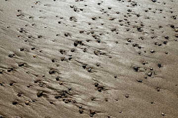 pebbles on the beach