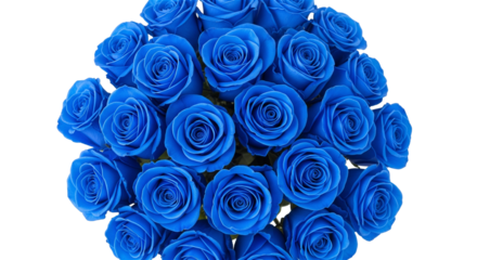 A bouquet of blue roses seen from directly above
