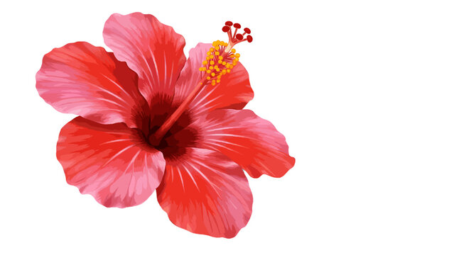 A vibrant illustration of a single red hibiscus flower in full bloom, isolated on a white background representing tropical beauty. - Powered by Adobe