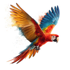 Obraz premium Vibrant parrot in flight, dynamic colours