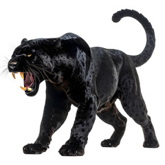 Obraz premium Powerful Panther's Roar: Witness the raw, untamed power of a black panther, its intense gaze and ferocious roar a testament to its predatory prowess.