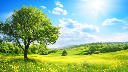 Obraz premium green field and blue sky. field and clouds