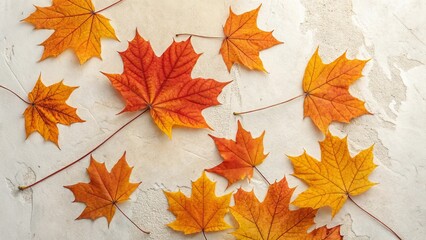 Fototapeta premium Autumn maple leaves arranged on a textured background for fall decoration