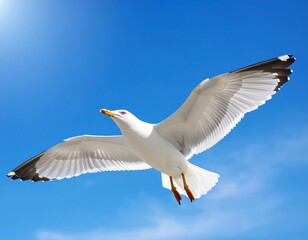 A seagull soars through a vibrant blue sky