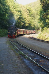 Obraz premium Locomotora de vapor en curva por vía forestal de montaña