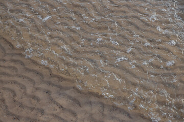 Calm Rippling Waves on a Sandy Beach Shoreline Captured in Close Detail