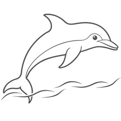 a cute dolphin jumping out of the water 