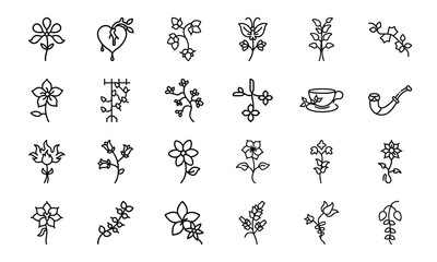 Minimal Feminine Botanical Flower Line Art Icon Bundle 24 Elegant Floral, Herbal, and Womb Illustrations for Feminist, Wellness, and Nature-Inspired Design
