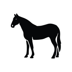 Horse silhouette