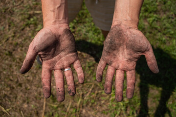 Fototapeta premium Hands covered in soil after gardening Horizontal