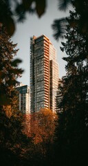 Tall modern building framed by trees