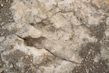 Trace, Dinosaure, alligaurus, Megalossaurus, Mongisty, Montjaux, 12, Aveyron, France