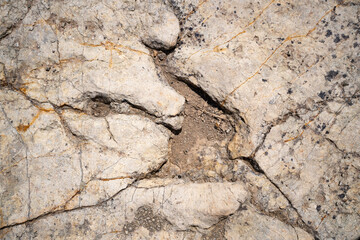 Trace, Dinosaure, alligaurus, Megalossaurus, Mongisty, Montjaux, 12, Aveyron, France